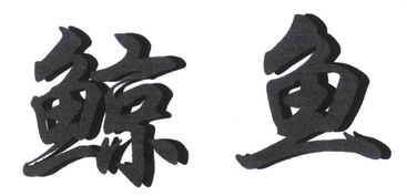 西安市迪達漆業(yè)有限責任公司 工商信息 信用報告 財務報表 電話地址查詢 天眼查